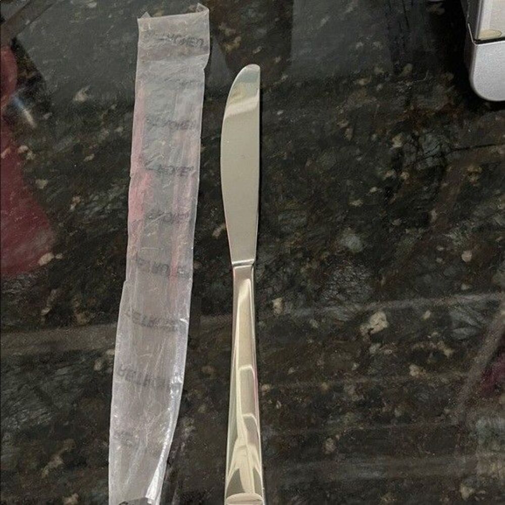 Retroneu ASPEN Dinner Knife - New in Sleeve
